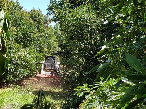 Cherry Creek Estate orchard maintenance and field work