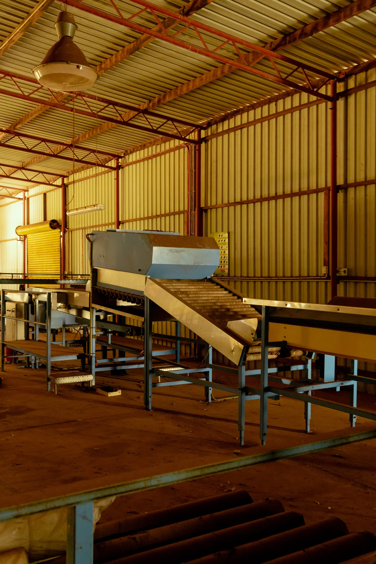 Cold-press processing room at Cherry Creek Estate